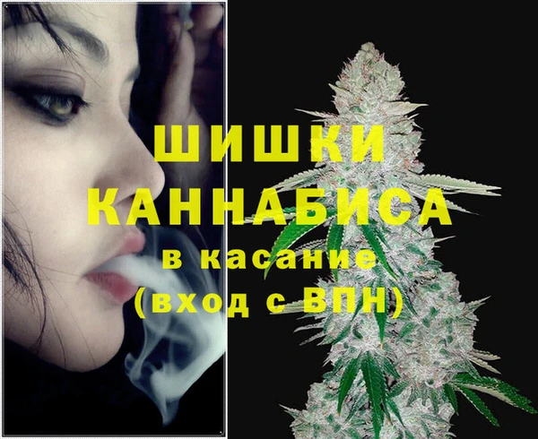 молекула духа Алексин