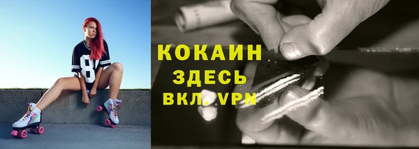 молекула духа Алексин