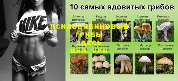 амф Алзамай