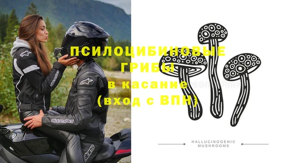 винт Алексеевка