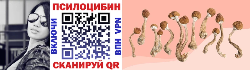 хочу наркоту Буй Псилоцибиновые грибы Psilocybine cubensis