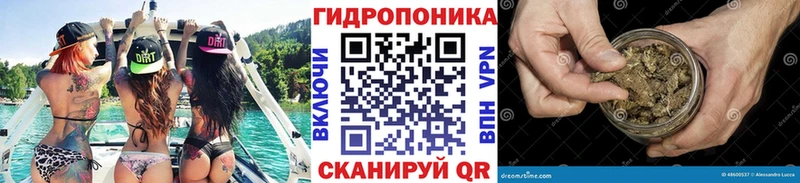 наркота  Буй  МЕГА ССЫЛКА  Бошки Шишки семена 